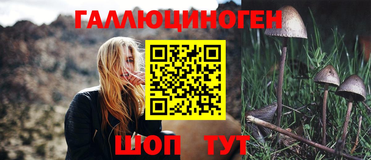 Псилоцибиновые грибы Psilocybe  Псилоцибиновые грибы GOLDEN TEACHER  наркошоп  Вход с VPN  Армавир 